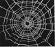 Spiderweb's Avatar