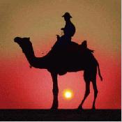 camelcowboy's Avatar