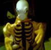 Zapper's Avatar